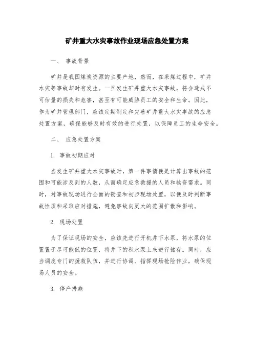 矿井重大水灾事故作业现场应急处置方案