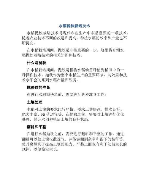 水稻抛秧栽培技术