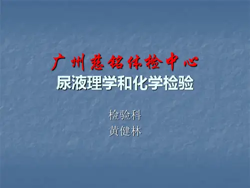 尿液的理学和化学检查