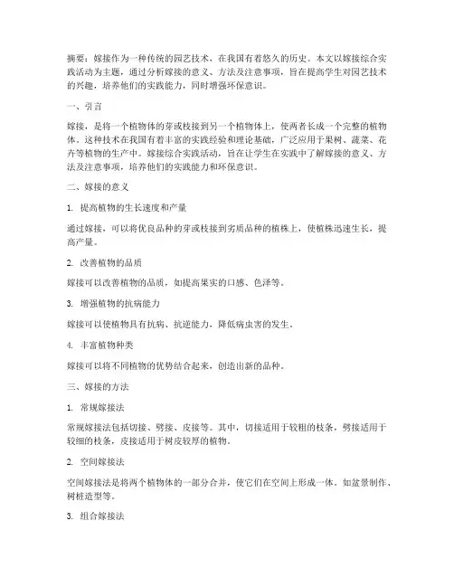 嫁接综合实践活动