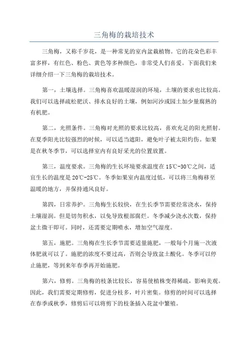 三角梅的栽培技术