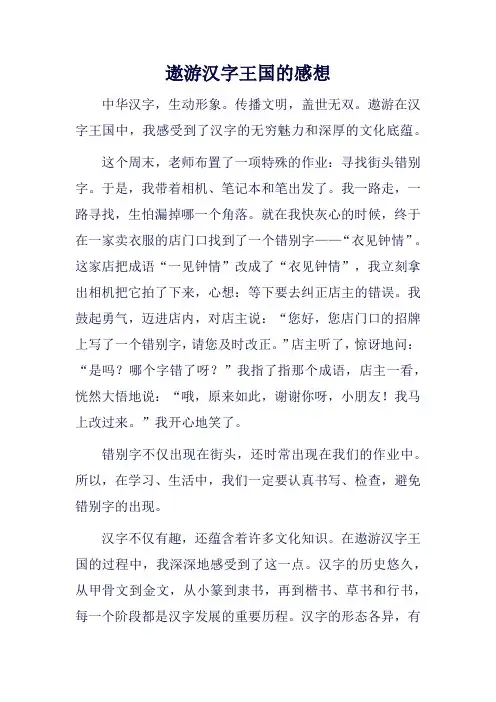遨游汉字王国的感想