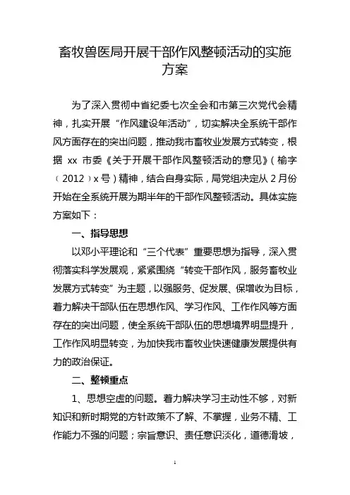 开展干部作风整顿活动的实施方案