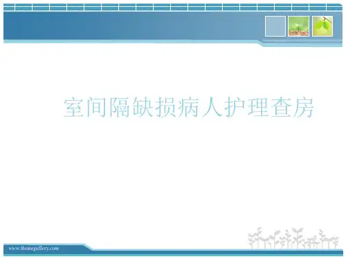 先心-室间隔缺损护理查房