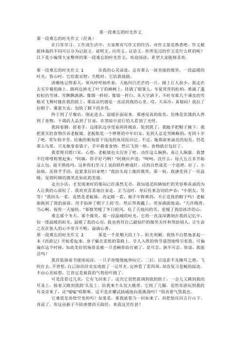 那一段难忘的时光作文