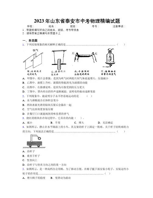 2023年山东省泰安市中考物理精编试题及解析