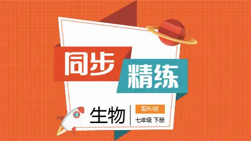 七年级生物下册第二章合理营养与食品安全课件与答案