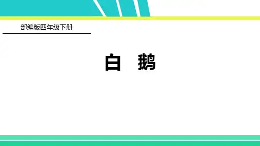 部编版四年级下册语文《白鹅》说课教学PPT课件