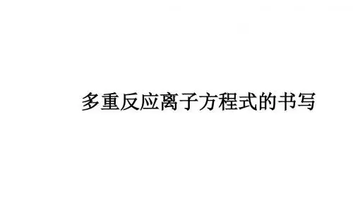 多重反应离子方程式的书写(3张PPT)