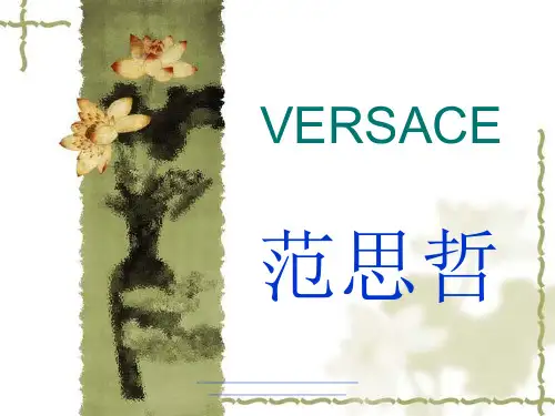 最新ppt 范思哲