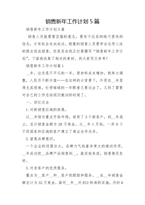 销售新年工作计划5篇