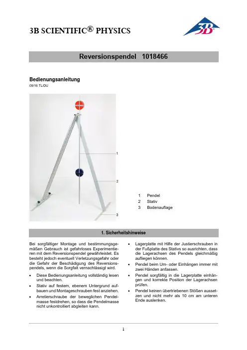 科学实验用物理摇摆仪说明书