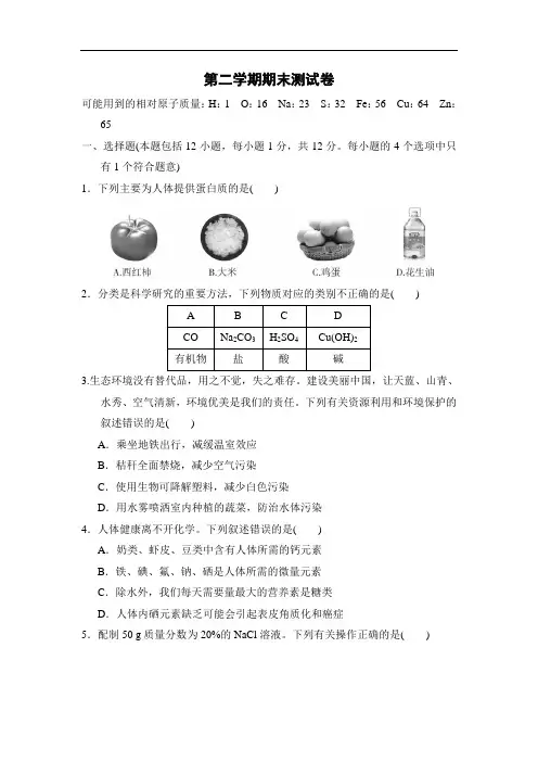 人教版九年级化学下册第二学期期末测试卷(word版 含答案)