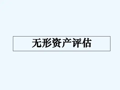 无形资产评估 PPT
