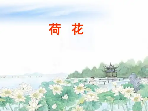 荷花(第2课时)