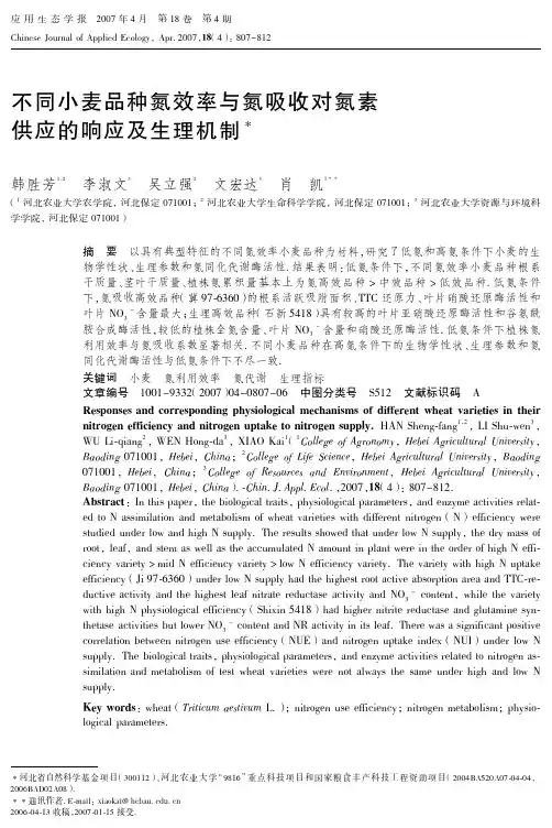 不同小麦品种氮效率与氮吸收对氮素供应的响应及生理机制