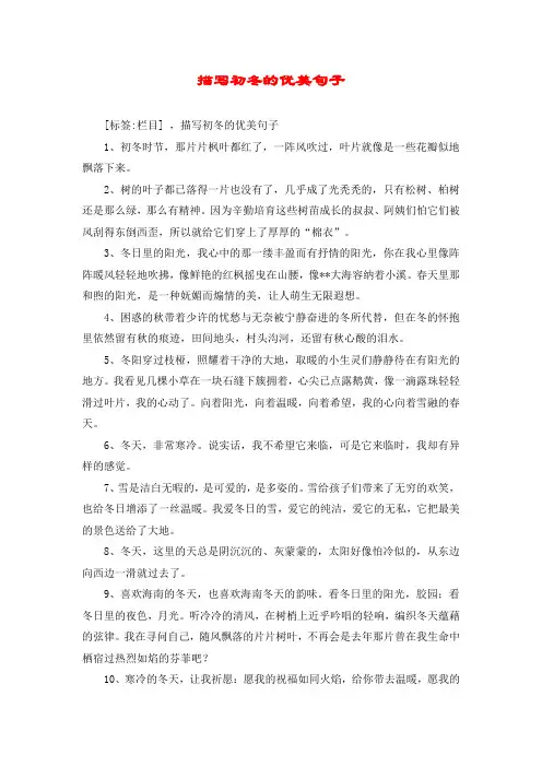 描写初冬的优美句子