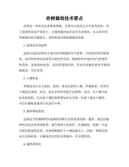 杏树栽培技术要点
