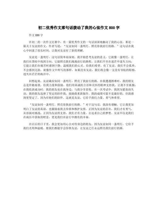 初二优秀作文那句话拨动了我的心弦作文800字