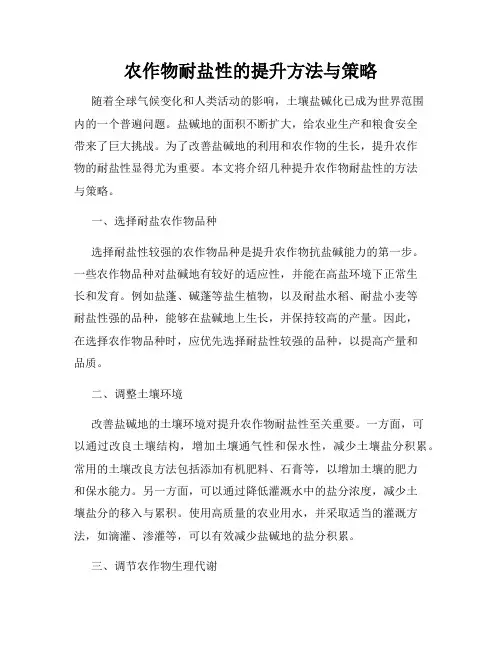 农作物耐盐性的提升方法与策略