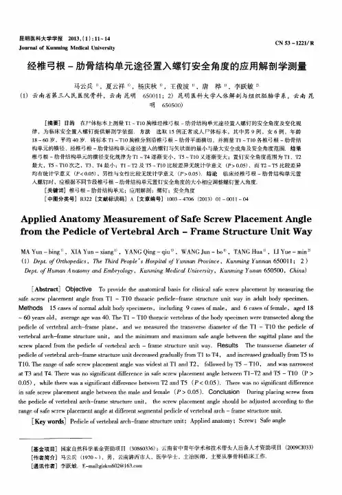 经椎弓根-肋骨结构单元途径置入螺钉安全角度的应用解剖学测量
