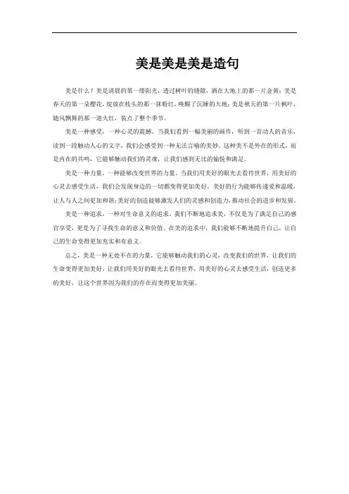 美是美是美是造句