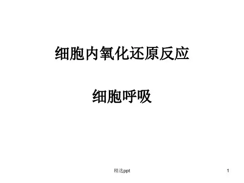 《羧酸循环》PPT课件