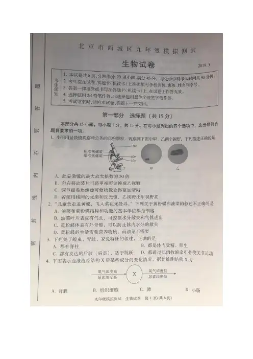 北京市西城区2019届九年级5月模拟测试(二模)生物试题(扫描版,有答案)