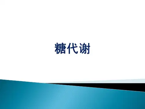 动物生物化学课件-糖代谢