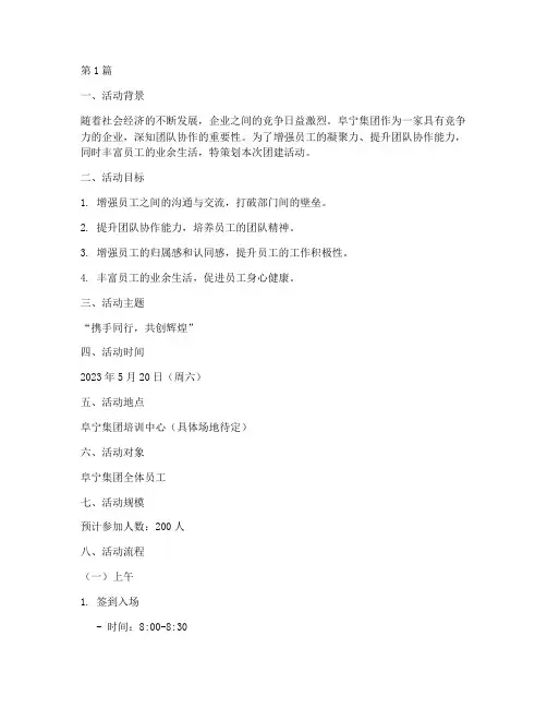阜宁集团团建活动策划(3篇)