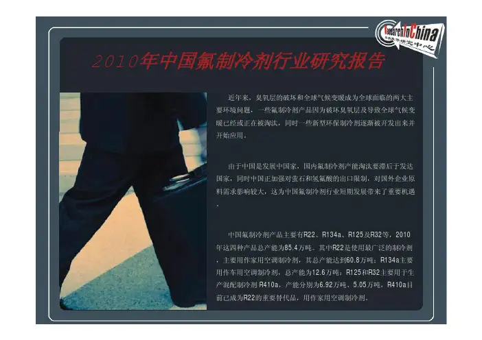 2010年中国氟制冷剂行业研究报告