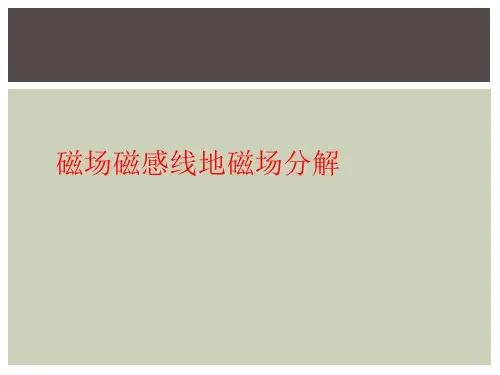 磁场磁感线地磁场分解