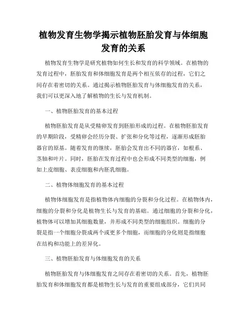 植物发育生物学揭示植物胚胎发育与体细胞发育的关系