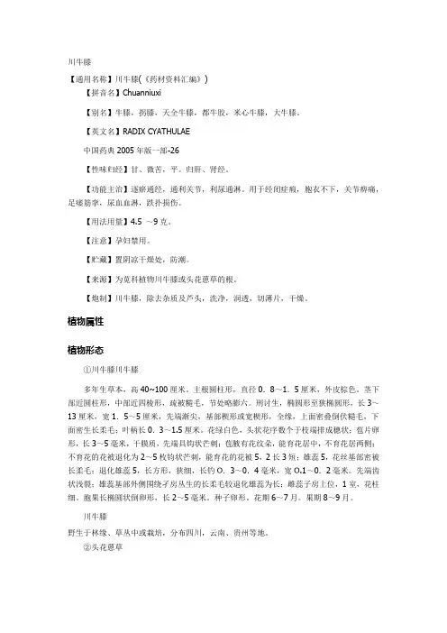 川牛膝