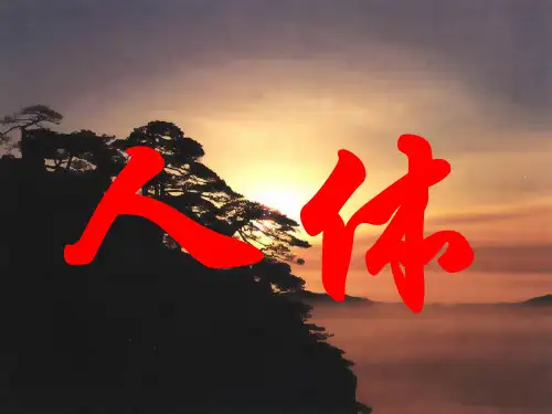 鲁教版七年级生物下册复习
