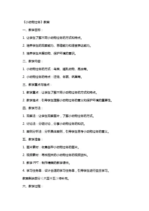 《小动物过冬》教案