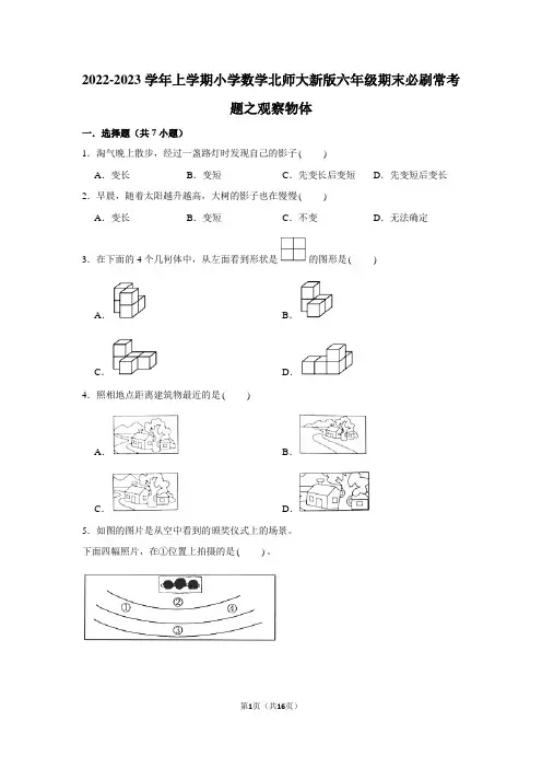 2022-2023学年上学期小学数学北师大新版六年级期末必刷常考题之观察物体