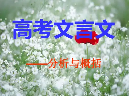 高中语文-高考文言文分析概括(胡)