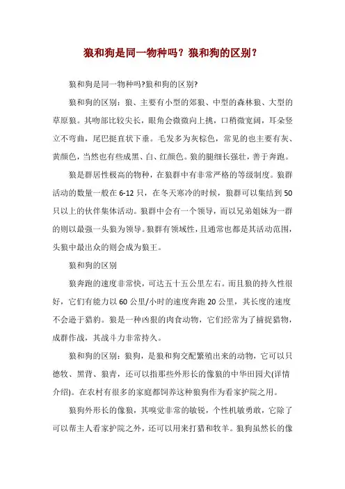 狼和狗是同一物种吗？狼和狗的区别？