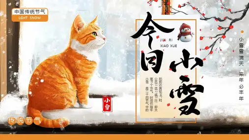 二十四节气 小雪介绍 主题宣传教育PPT课件