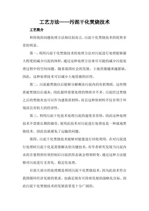工艺方法——污泥干化焚烧技术