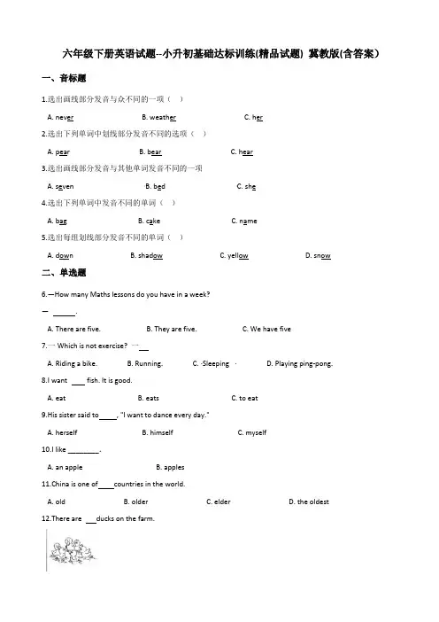 六年级下册英语试题--小升初基础达标训练(精品试题) 冀教版 (含答案)