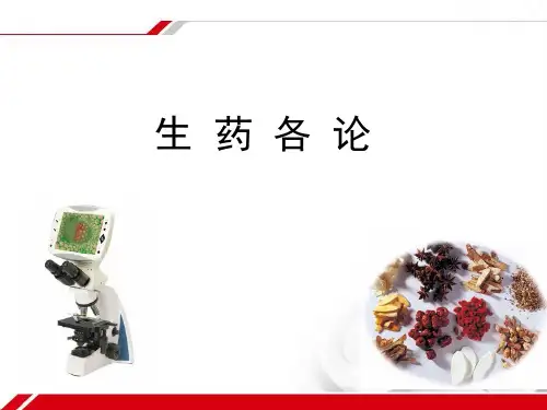 真菌蕨类裸子中药(虫草贯众麻黄)PPT课件