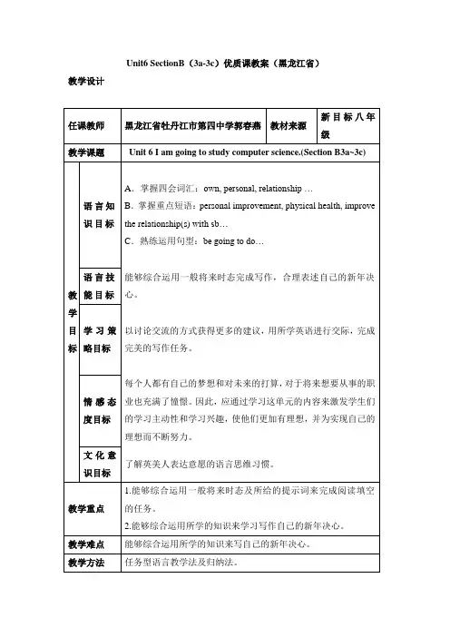 九年级英语人教版全册 Unit6_SectionB(3a-3c)优质课教案(黑龙江省)