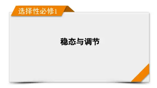 2023年高考生物一轮复习第一部分考点指导选择性必修1第八单元稳态与调节 第24讲人体的内环境与稳态