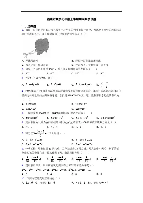 福州市数学七年级上学期期末数学试题