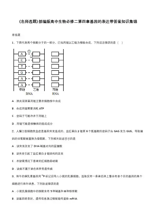 部编版高中生物必修二第四章基因的表达带答案知识集锦