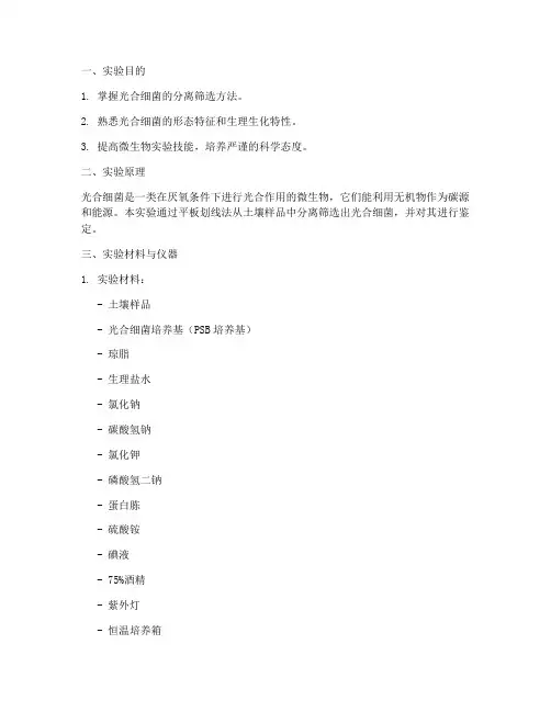 筛选光合细菌实验报告