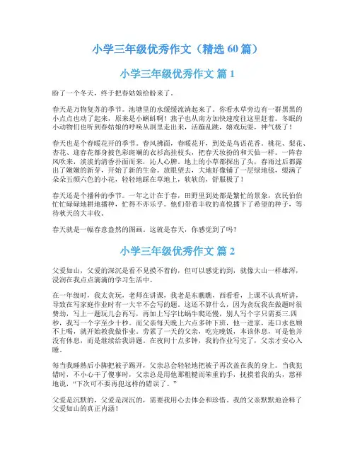 小学三年级优秀作文(精选60篇)