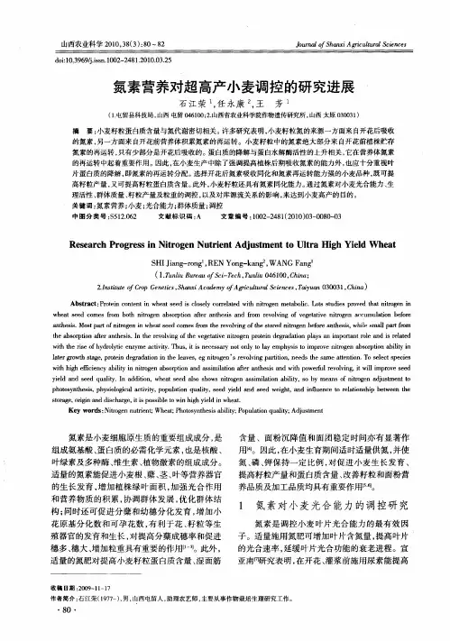 氮素营养对超高产小麦调控的研究进展